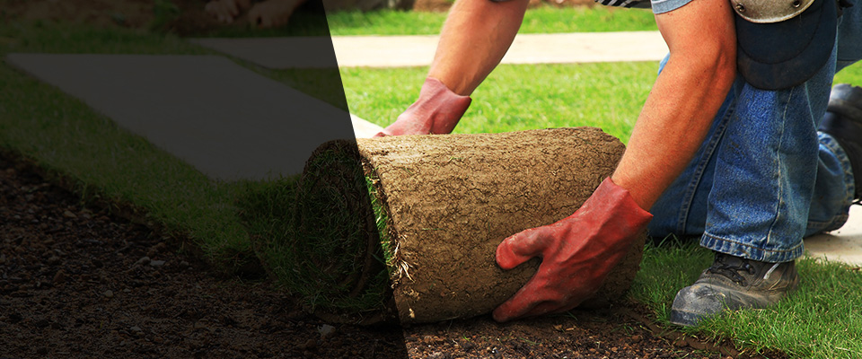 Grove City Landscapers